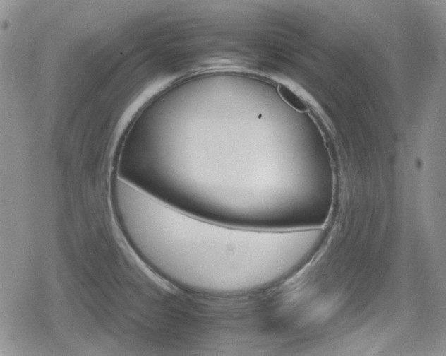 X0000080171333200612081042