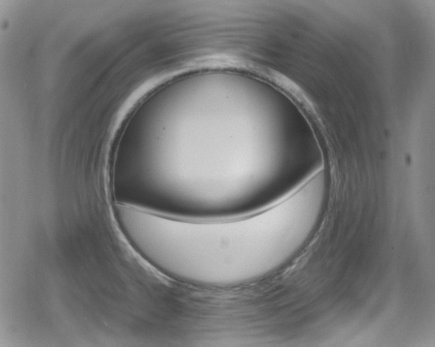 X0000080171334200612081042