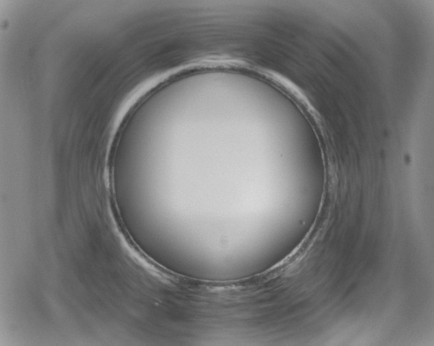 X0000080171335200612081042