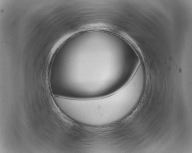 X0000080171336200612081042