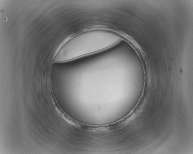 X0000080171337200612081042