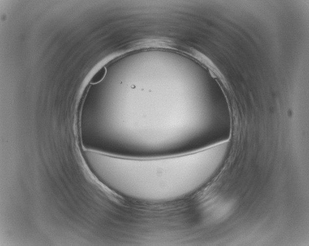 X0000080171339200612081042