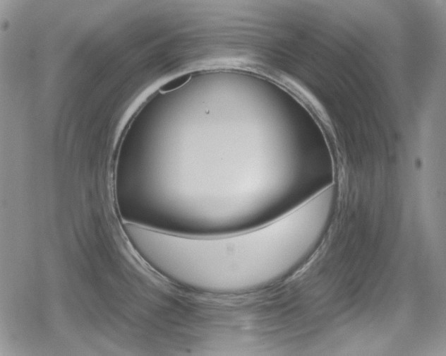 X0000080171340200612081043