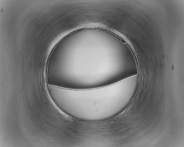 X0000080171343200612081043