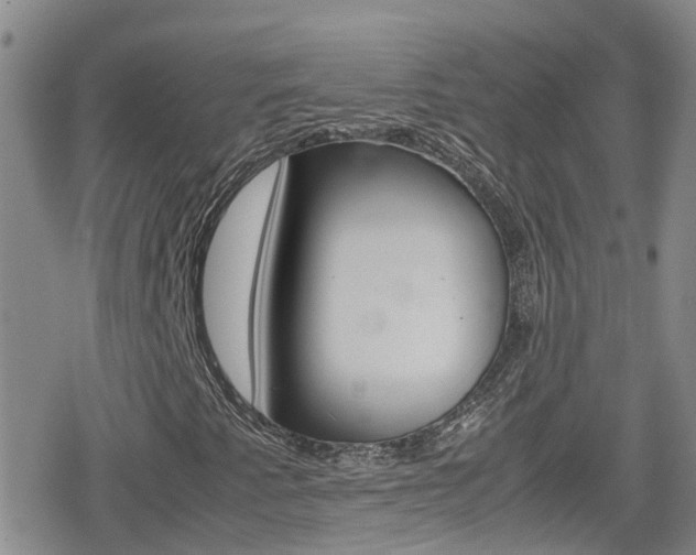 X0000080171345200612081042