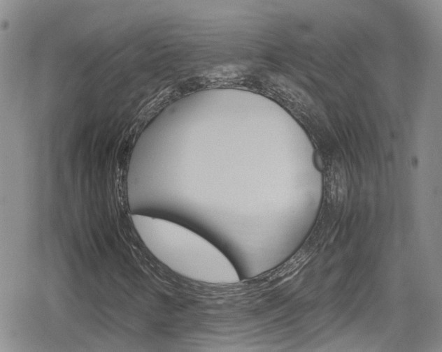 X0000080171346200612081042