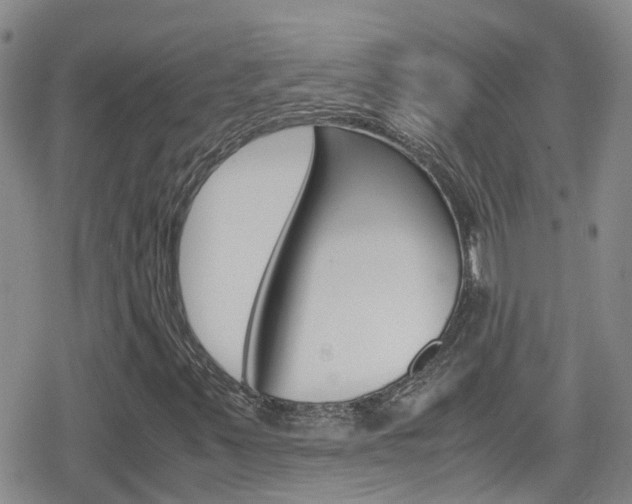 X0000080171347200612081042
