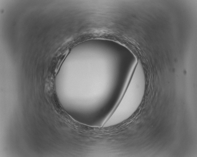 X0000080171349200612081042