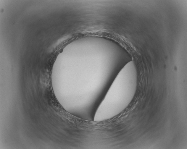 X0000080171350200612081042