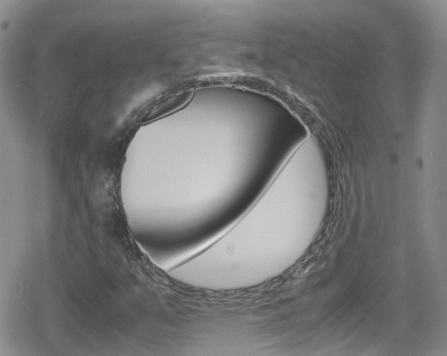 X0000080171351200612081042