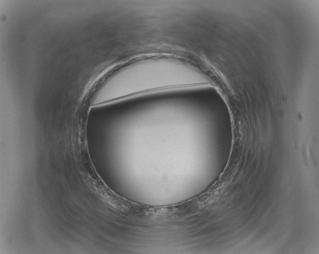 X0000080171352200612081042