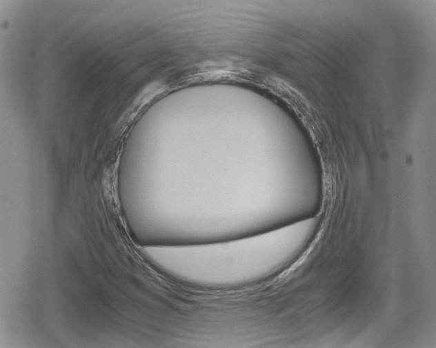 X0000080171353200612081042