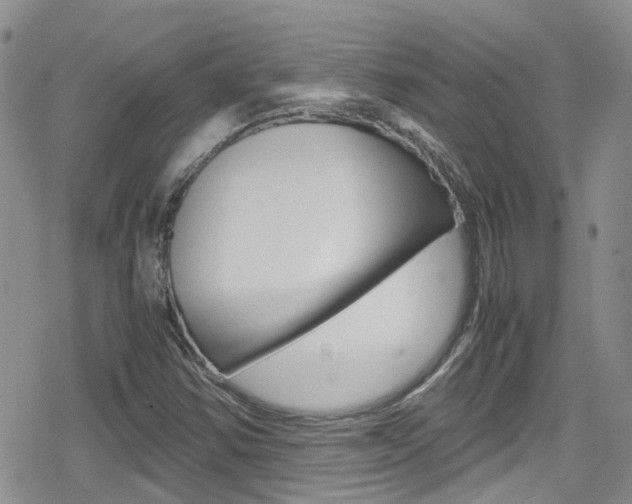 X0000080171354200612081042