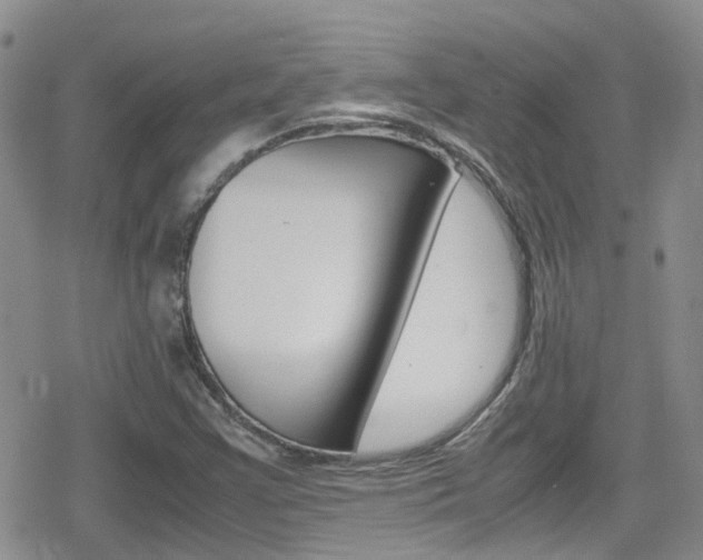 X0000080171355200612081042
