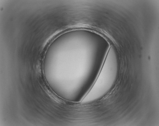 X0000080171356200612081042