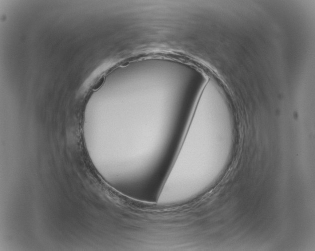 X0000080171359200612081042