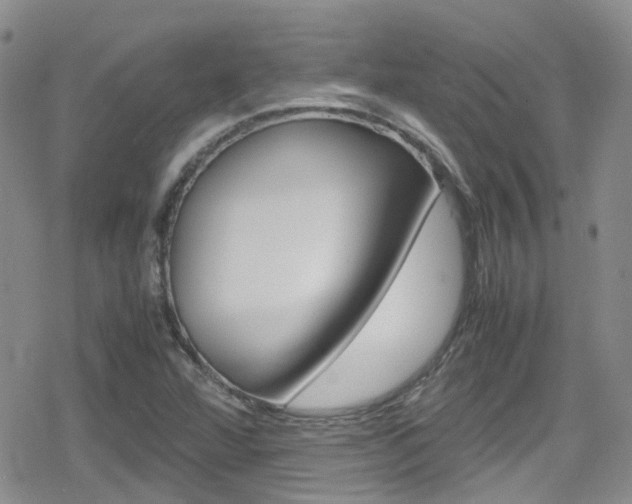 X0000080171360200612081042