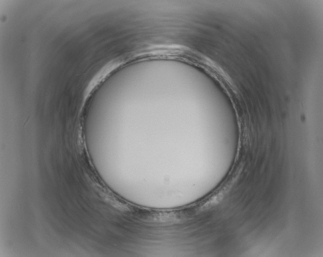 X0000080171362200612081042