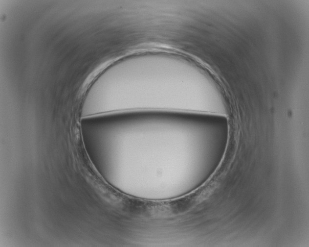 X0000080171363200612081042