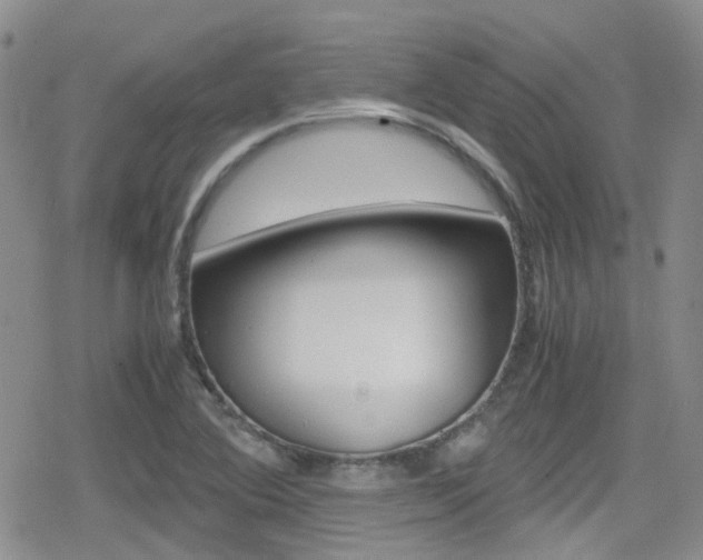 X0000080171364200612081041