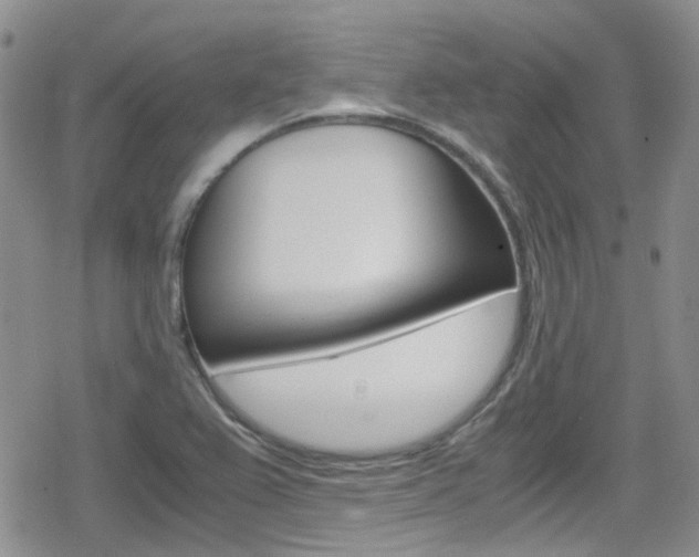 X0000080171367200612081041