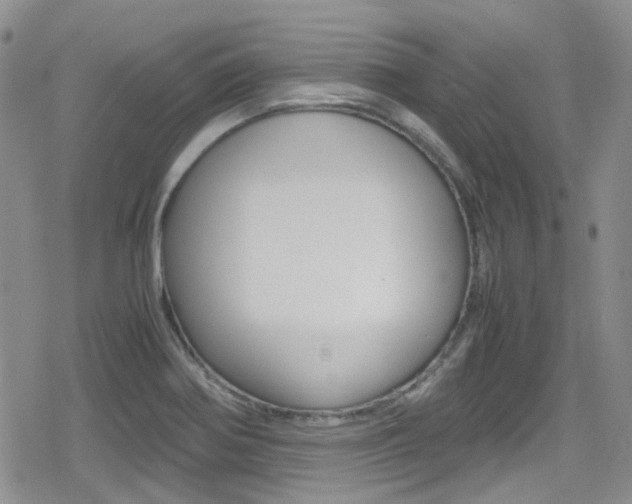 X0000080171370200612081041
