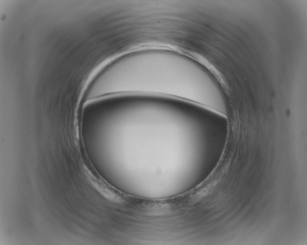 X0000080171372200612081041