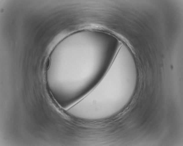 X0000080171375200612081041