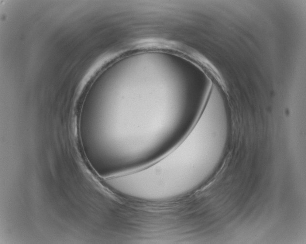X0000080171376200612081041