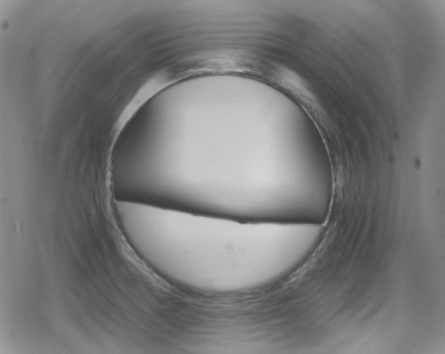 X0000080171378200612081041