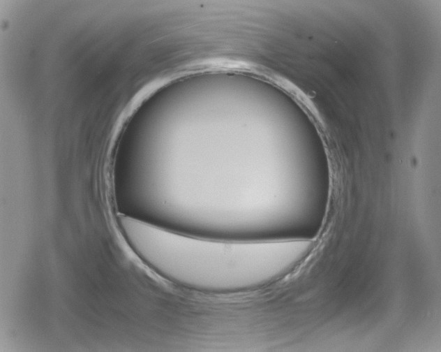 X0000080171381200612081041