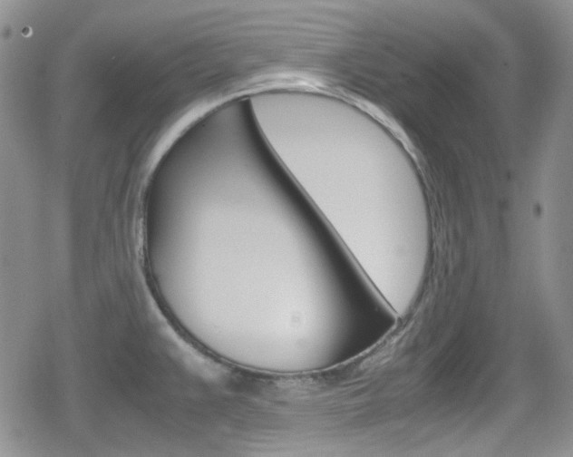 X0000080171383200612081041