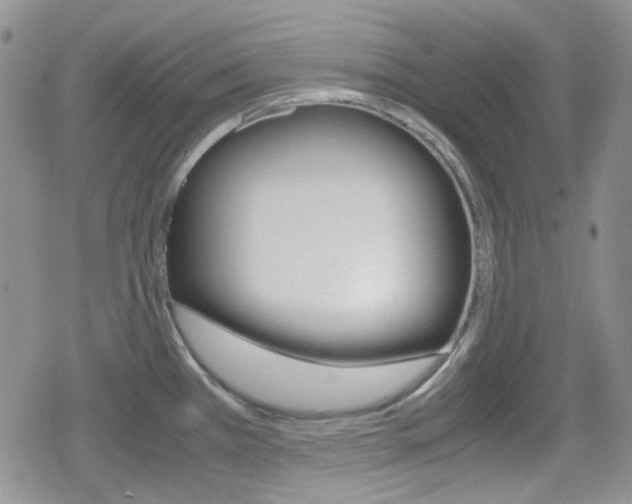 X0000080171385200612081041