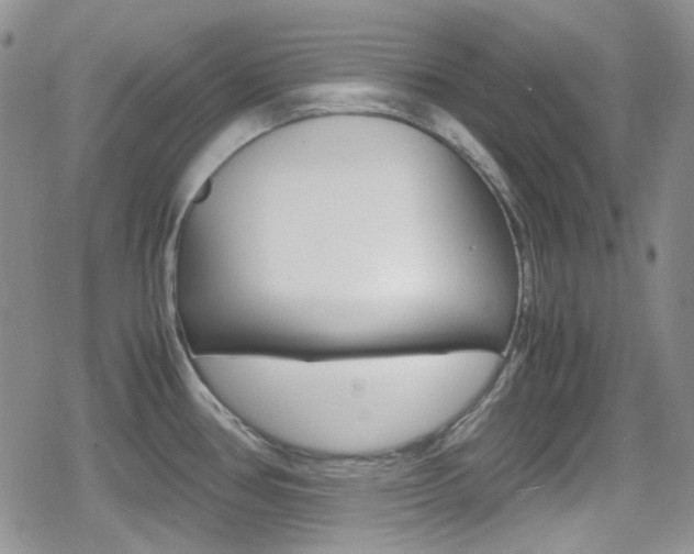 X0000080171386200612081041