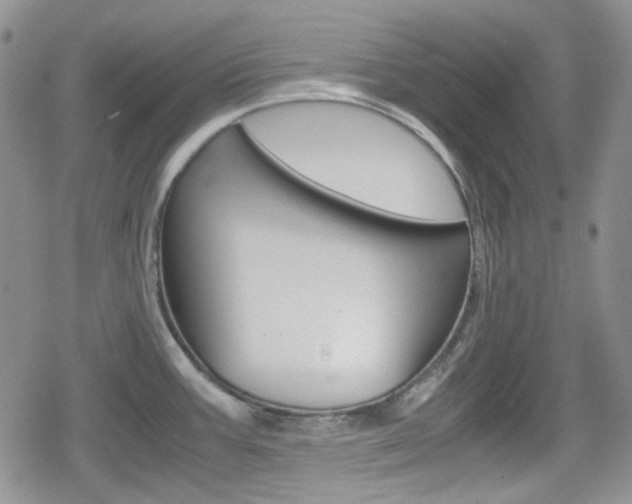 X0000080171387200612081041