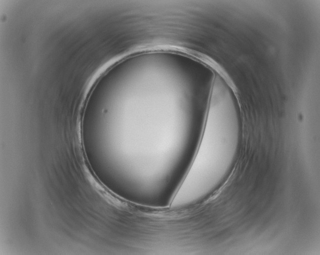 X0000080171388200612081041