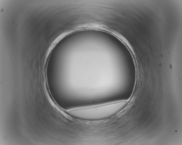 X0000080171389200612081041