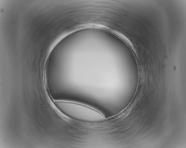 X0000080171391200612081041