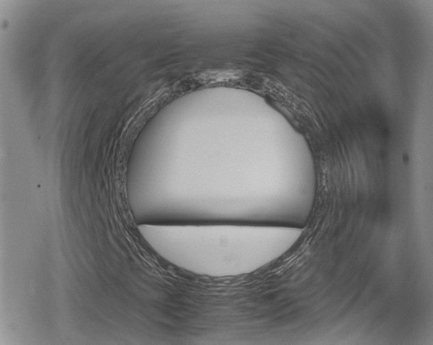 X0000080171393200612081040