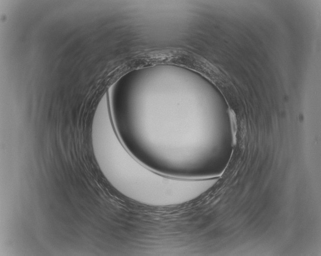 X0000080171394200612081040