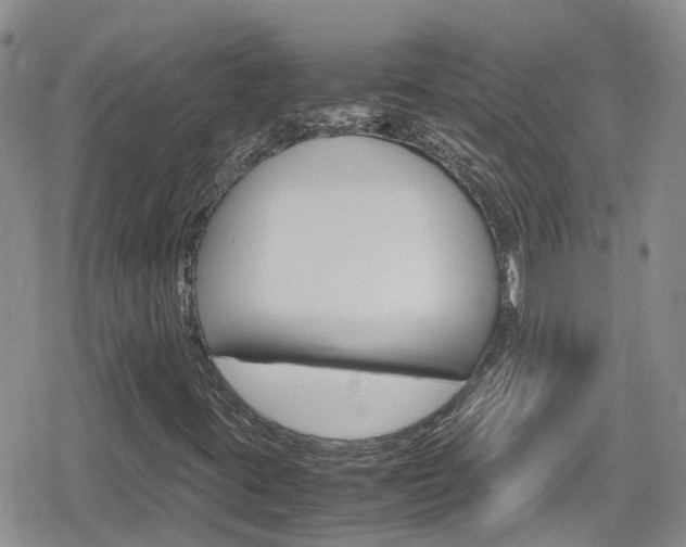 X0000080171395200612081040