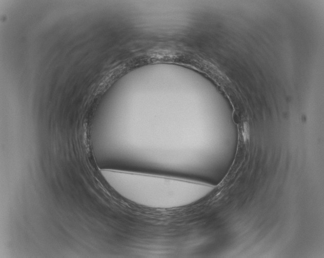 X0000080171396200612081040