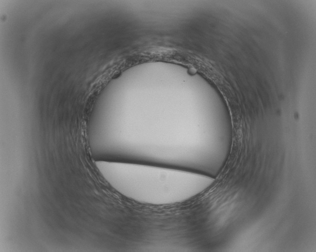 X0000080171397200612081040