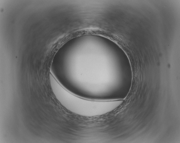 X0000080171398200612081040