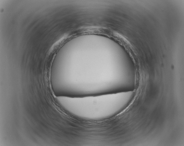 X0000080171403200612081040