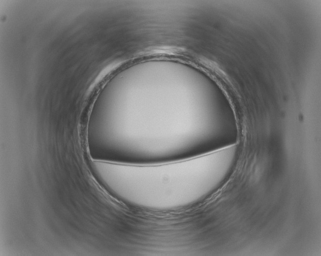 X0000080171404200612081040