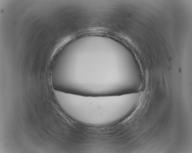 X0000080171405200612081040