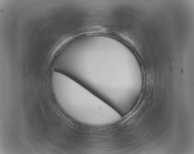 X0000080171407200612081040