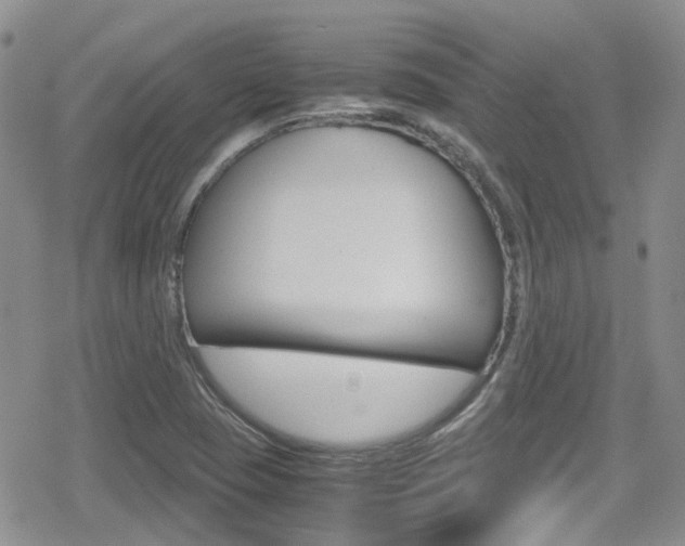 X0000080171409200612081041