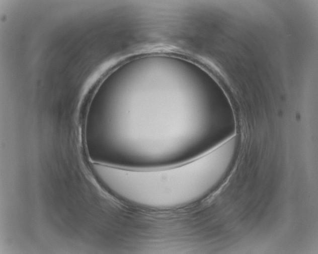 X0000080171414200612081041